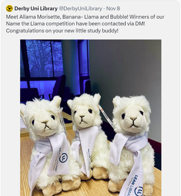 Three stuffed llama toys at University of Derby Library